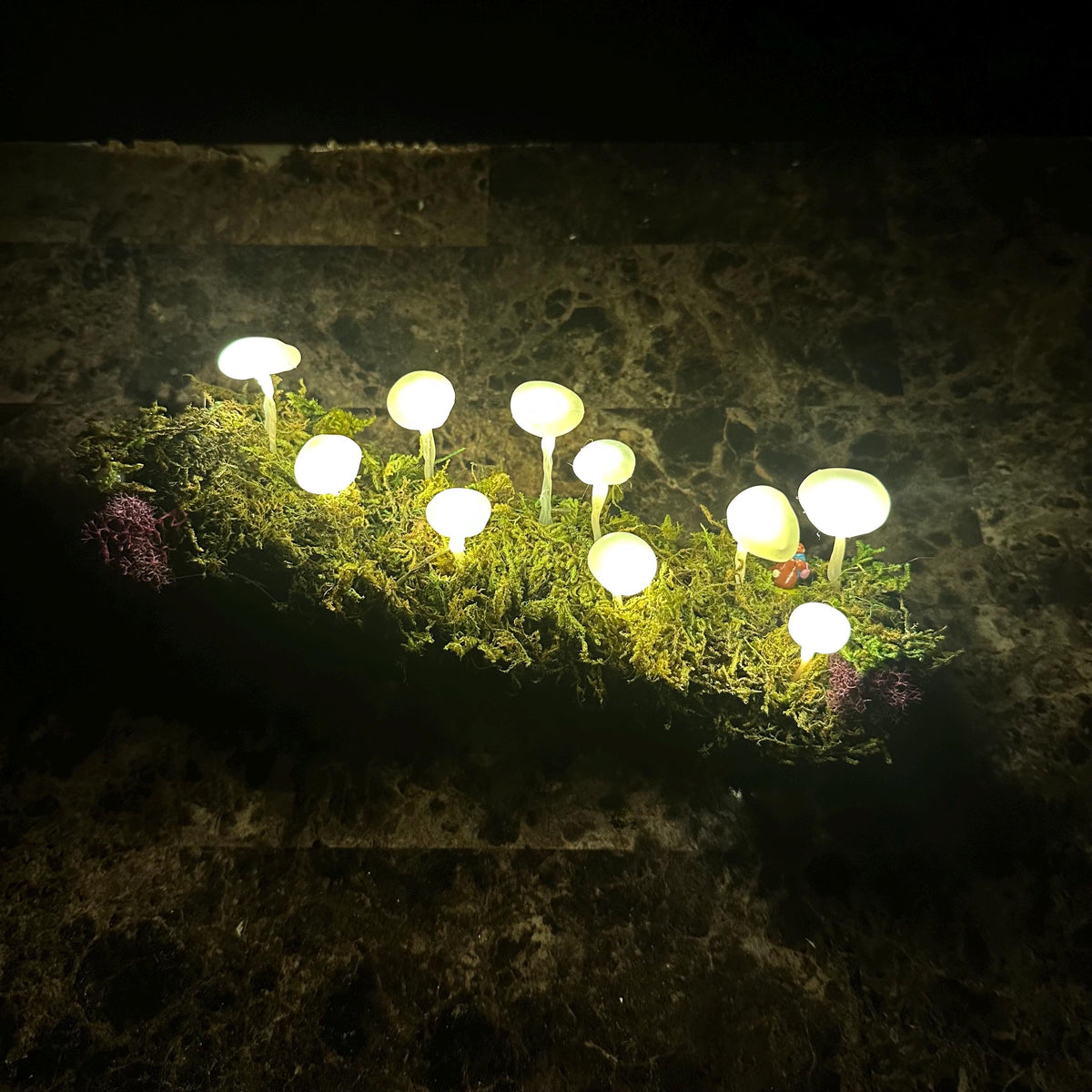 Glowing Mushroom Log – Pink