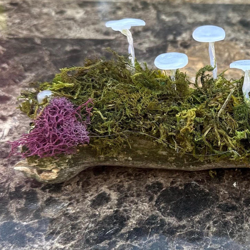 Glowing Mushroom Log – Pink