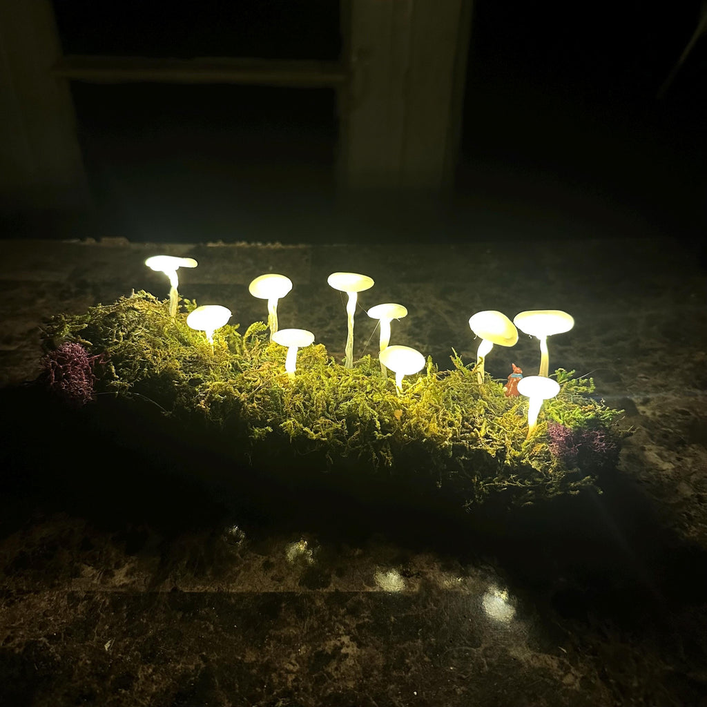 Glowing Mushroom Log – Pink