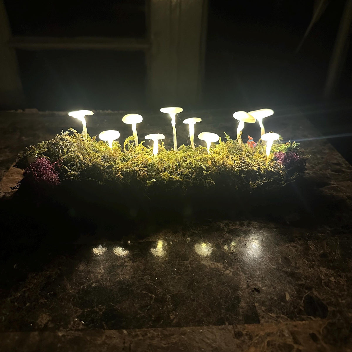 Glowing Mushroom Log – Pink