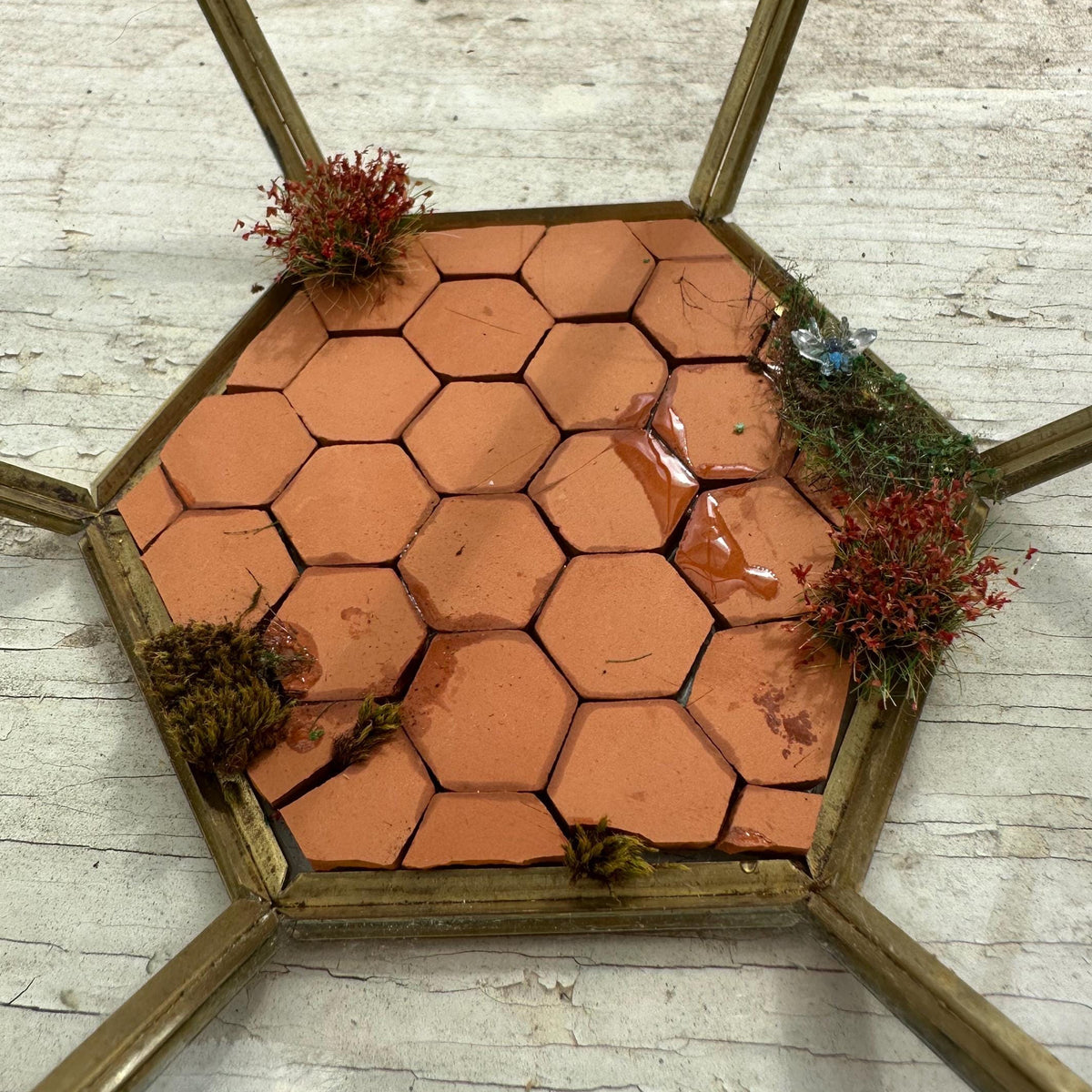 Miniature Greenhouse – Tiny Café