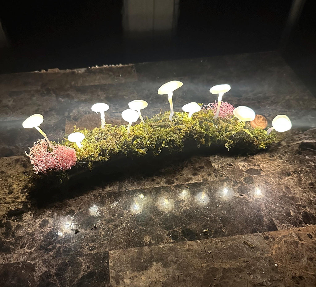 Glowing Mushroom Log – Light Pink
