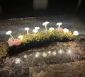 Glowing Mushroom Log – Light Pink